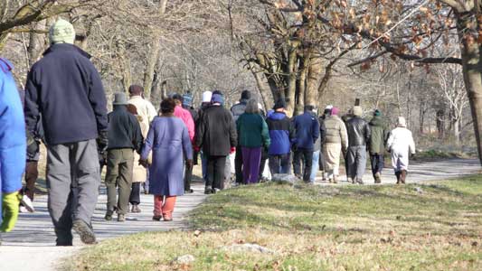 Walking Meditation
