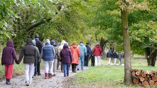 Outdoor Walking